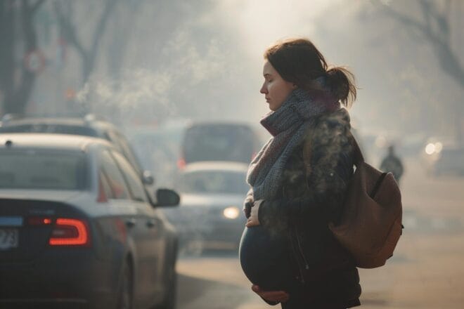 Illustration. Une femme enceinte dans un environnement pollué.