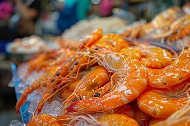 Illustration. Des crevettes entières.