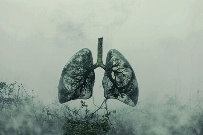 Image d'illustration. Poumons illustrés sur un fond brumeux, symbolisant les difficultés respiratoires associées aux maladies respiratoires chroniques.