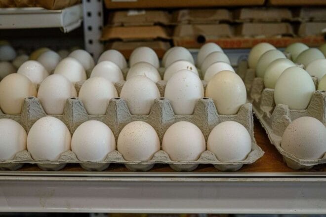 Image d'illustration. Œufs frais en boîte au supermarché