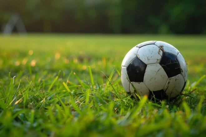 Image d'illustration. Ballon de football.