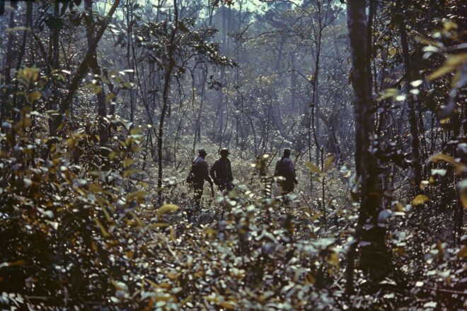 Image d'illustration. Opération de police en forêt.