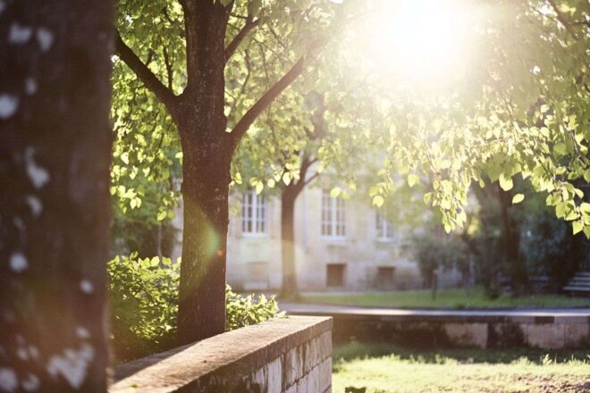 Image d'illustration. Brise légère dans un jardin en Été