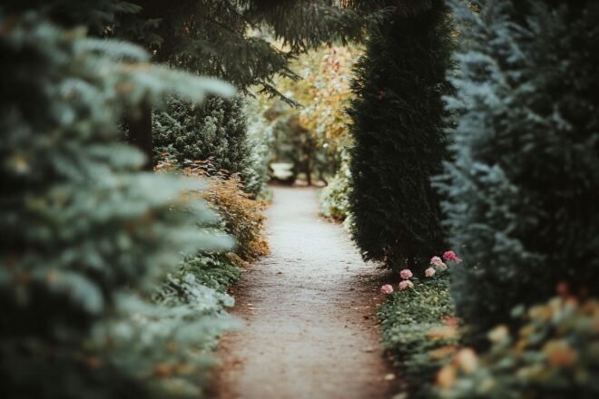 Chemin de jardin serein