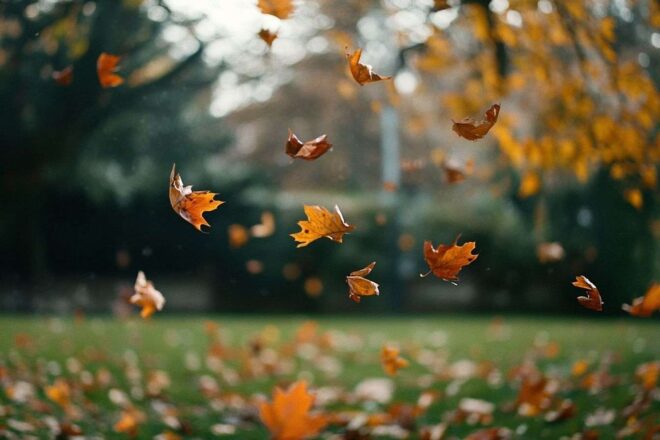 Doux vent dans le jardin paisible