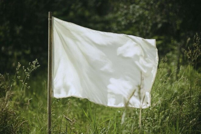 Drapeau blanc sur mât en bois entouré de verdure