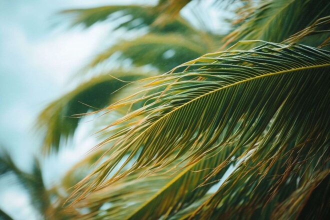 Puissance cyclone tropical