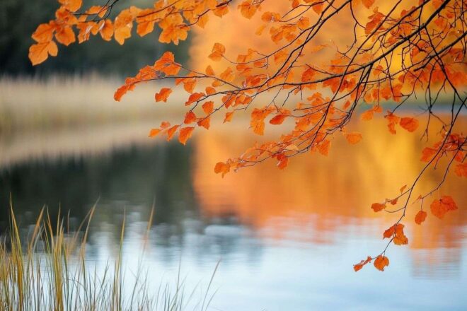 Feuillage orange et rouge réfléchi dans un lac calme