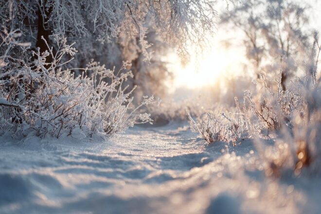 Paysage hivernal serein