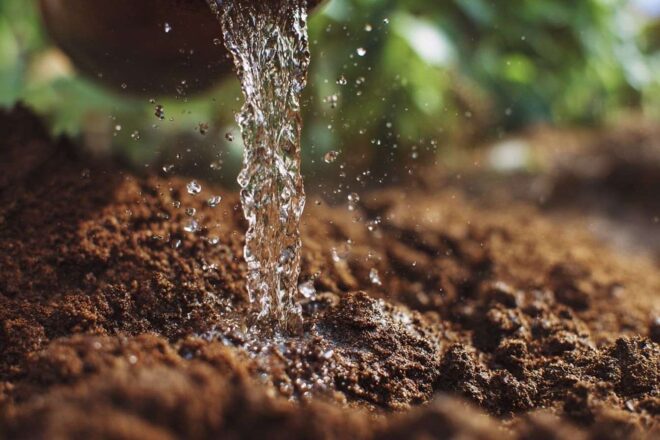 Test de drainage du sol