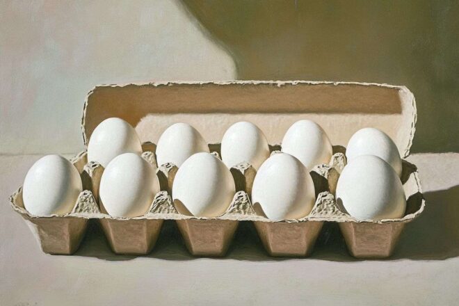 Douzaine d œufs blancs en carton éclairés par le soleil