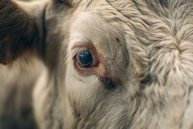 Untitled upload from alphonse