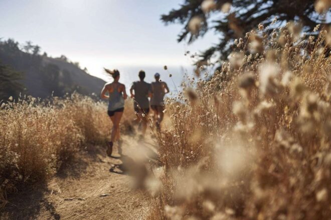 Entraînement de coureurs sur un sentier pittoresque