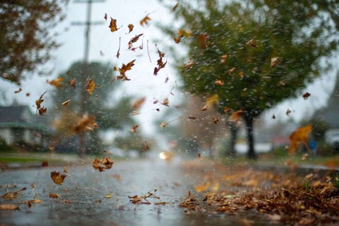 Tourbillon de feuilles sous la pluie
