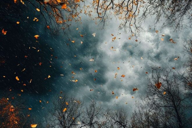 Arbres soufflés sous ciel orageux