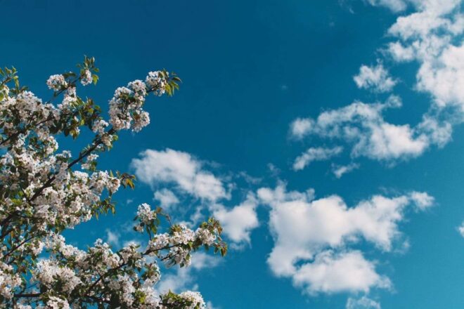 Ciel bleu clair avec nuages blancs