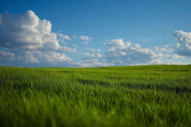 Ciel bleu clair sur paysage serein