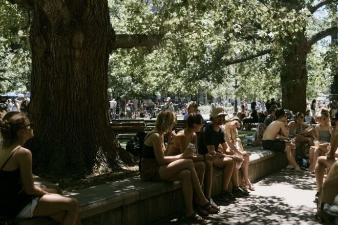 À l ombre des grands arbres lors de la canicule