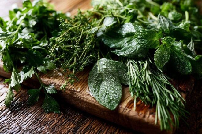 Assortiment d herbes avec gouttes de rosée