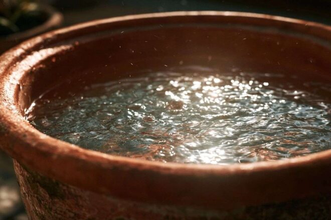 Gros plan pot terracotta reflets