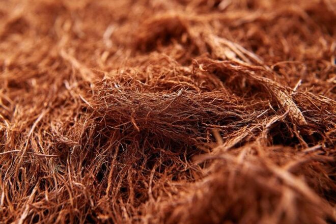 Gros plan sur les fibres de coco