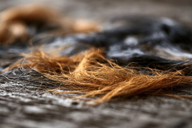 Gros plan de mèches de cheveux sur le sol d un salon
