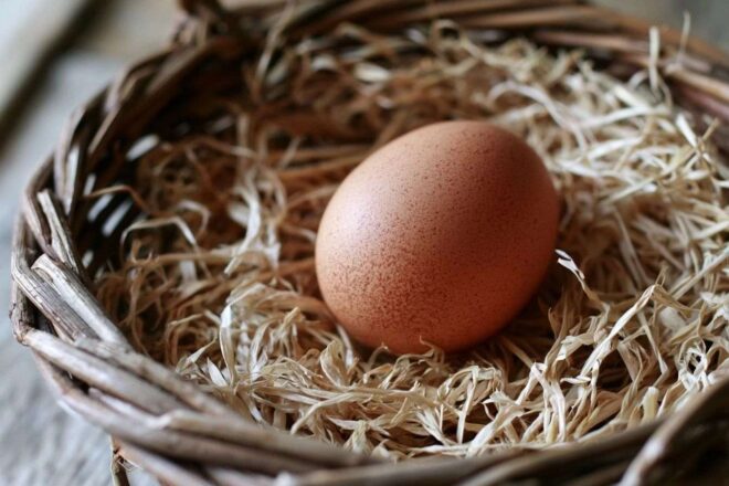 Gros plan d un œuf rustique frais de la ferme sur de la paille douce dans un panier en bois