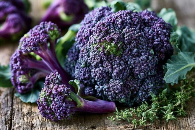 Brocoli violet artistique