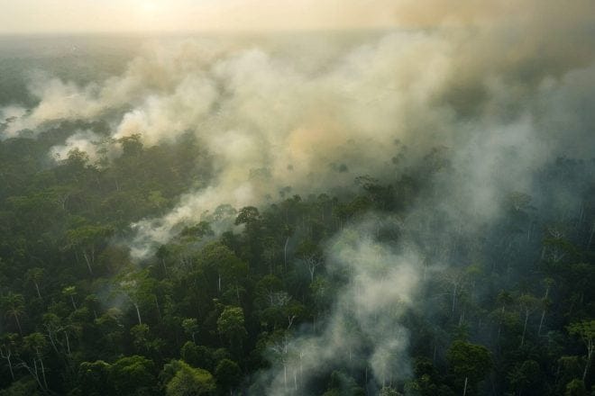 Illustration. Une épaisse fumée s'élève au-dessus d'une vaste canopée de forêt amazonienne.
