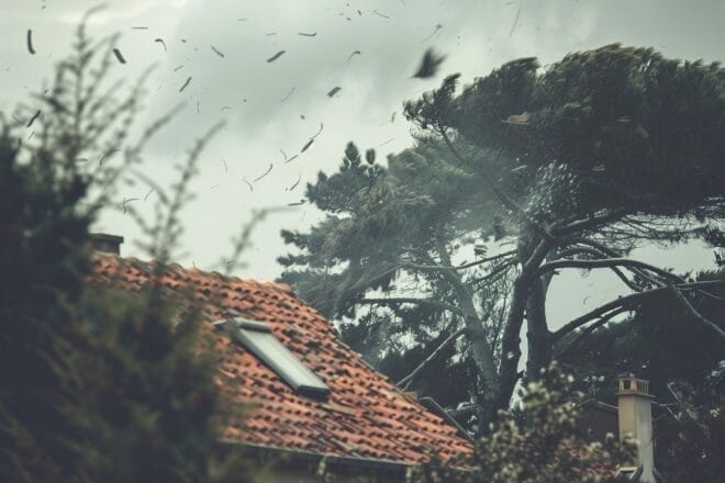 Image d'illustration. Tempete vent