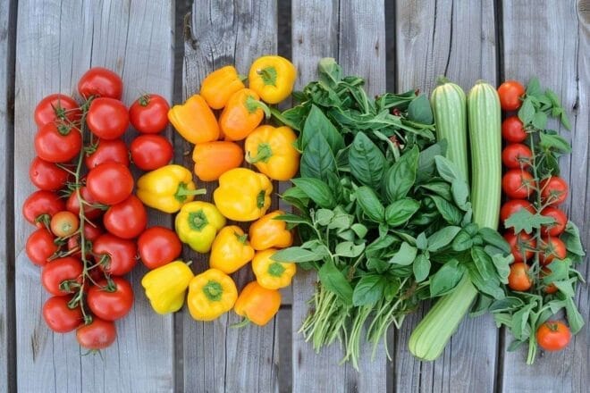 Image d'illustration. Assortiment de légumes colorés