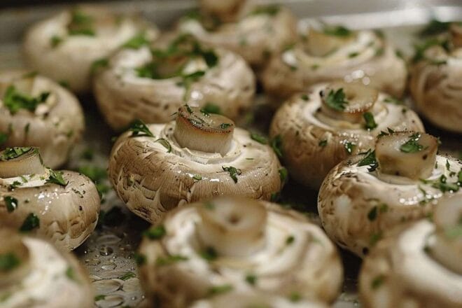 Image d'illustration. Champignons sautés avec herbes aromatiques