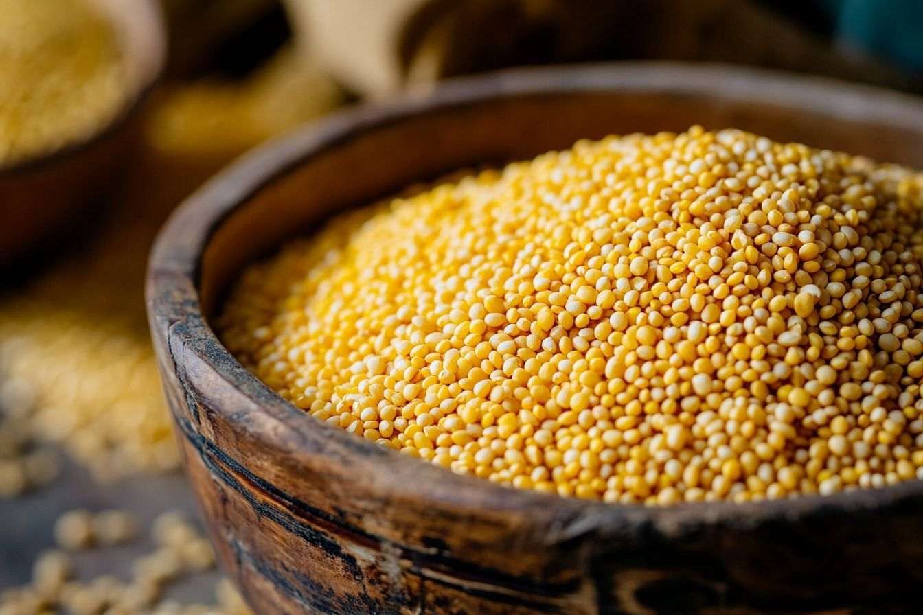 Une vue rapprochée d'un bol rempli de grains de millet dorés, mettant en avant leur texture et couleur