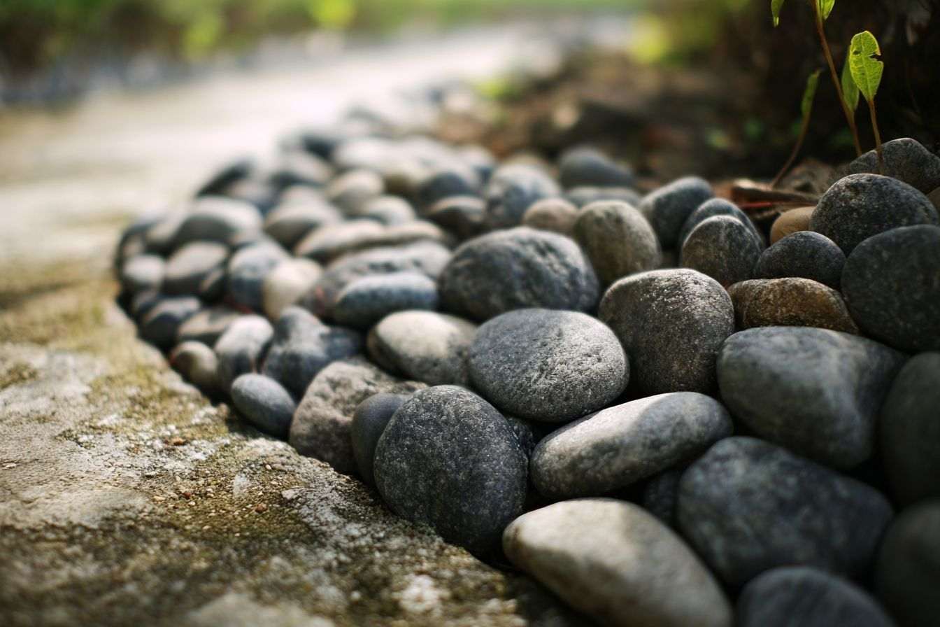 Gros plan des galets de rivière lisses entourant un chemin de jardin