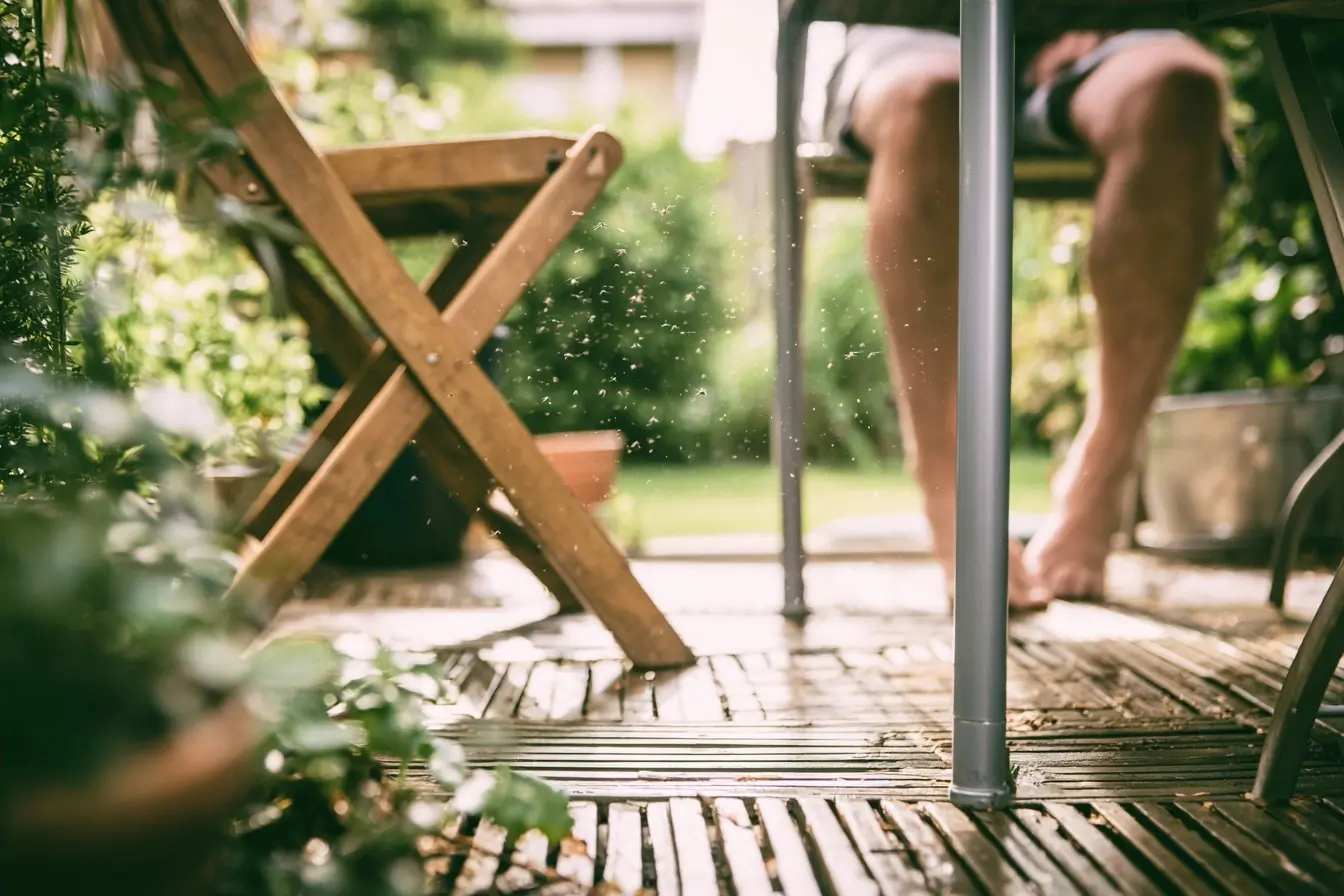Terrasse d été avec moustiques visibles