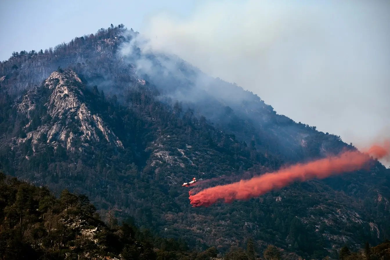 Avion larguant du retardant sur la forêt